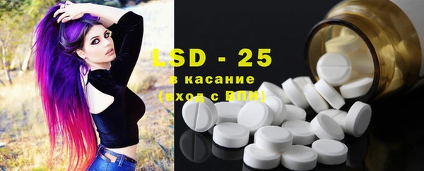 шишки Кукмор