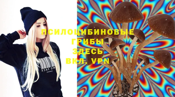 прущий лед Кулебаки