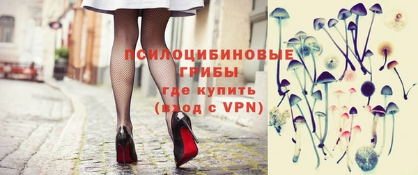 ПСИЛОЦИБИНОВЫЕ ГРИБЫ Куйбышев