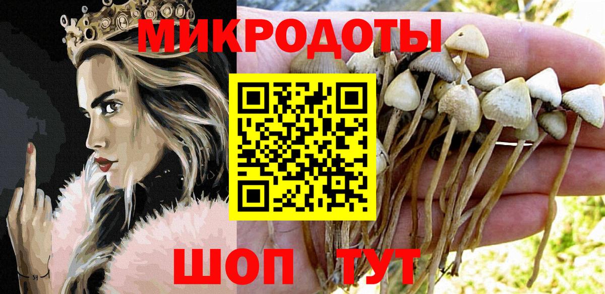 ГАШИШ Новороссийск