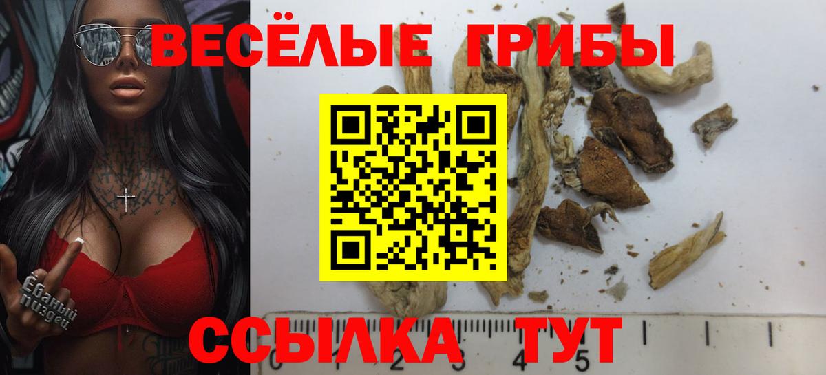 Новороссийск  Галлюциногенные грибы GOLDEN TEACHER  Вход с VPN 